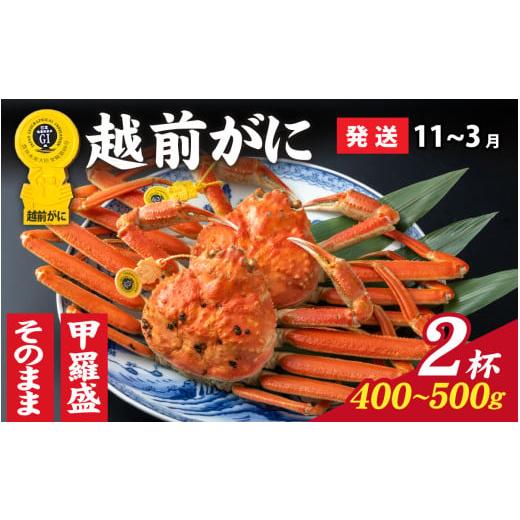 ふるさと納税 カニ ずわいガニ 福井県 福井市 先行予約 選べる 美味しさ直送 成前特選 越前がに(400g〜500g)×2杯 11月〜3月発送 姿 J-028047_06 / 福井県…