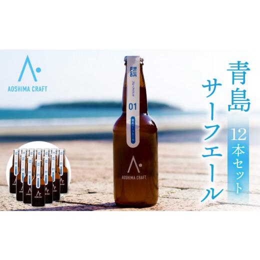ふるさと納税 ビール 地ビール 宮崎県 宮崎市 青島サーフエール12本