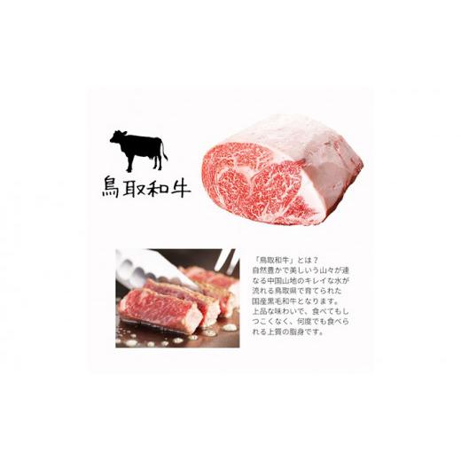 ふるさと納税 牛肉 焼肉・バーベキュー 鳥取県 - 鳥取県産　焼肉セット ２kg(６?８人前) 牛肉 豚肉 鶏肉 焼き肉 バーベキュー BBQ ファミリーセット_T2600252_2