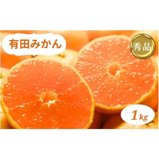 ふるさと納税 果物類 みかん 和歌山県 太地町 和歌山県産 有田みかん 1kg 秀品 ミカン 有田みかん 和歌山 有田 秀品 2026年10月中旬〜2027年1月中旬頃に順次発…