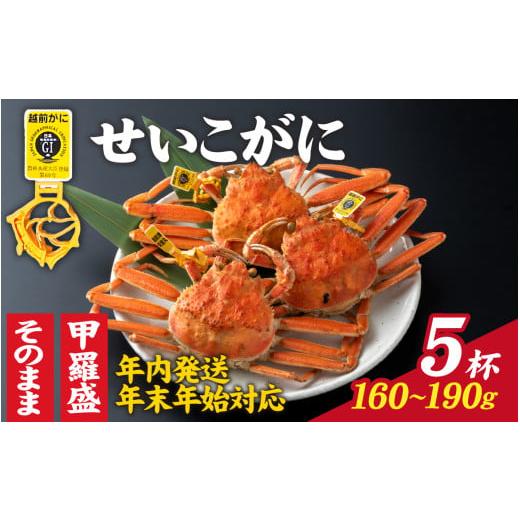 ふるさと納税 カニ ずわいガニ 福井県 福井市 先行予約 選べる 美味しさ直送 成前特選 せいこがに(160g〜190g)×5杯 年内発送・年末年始対応 姿 E-028010_…