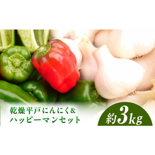 ふるさと納税 野菜類 高知県 土佐市 先行予約 平戸にんにく&ハッピーマンセット 約3kg[2026年10月〜11月末頃発送] ニンニク 自然乾燥平戸にんにく ピーマ…