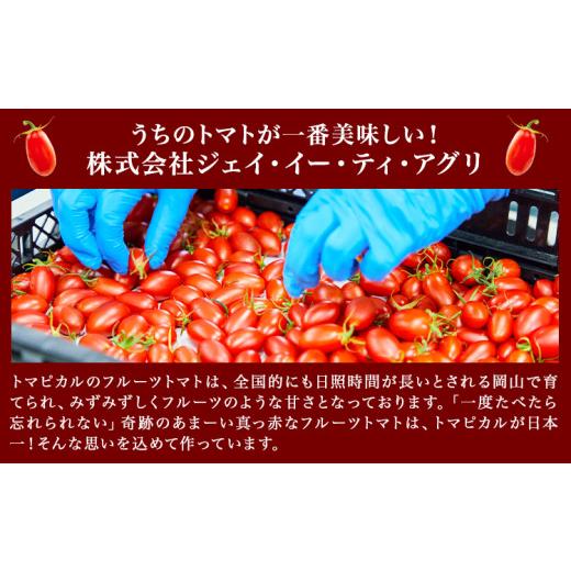 ふるさと納税 果汁飲料 トマト 岡山県 笠岡市 トマト ジュース トマトジュース トマピカル ネクター フルーツトマト 350ml 1本 株式会社ジェイ・イー・ティ・…_2