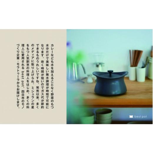 ふるさと納税 雑貨・日用品 三重県 四日市市 best pot（ベストポット）20cm マロンレッド マロンレッドの画像