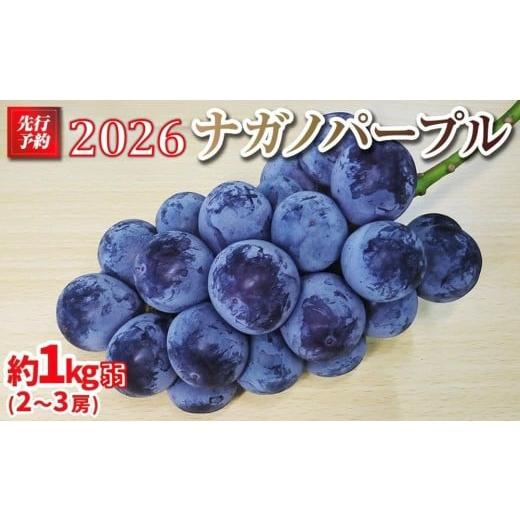 ふるさと納税 ぶどう 長野県 大町市 先行予約 2026 ナガノパープル 2房〜3房 約1キロ弱 長野県産 2026年9月下旬頃〜順次発送予定 国際特許有機肥料栽培 …