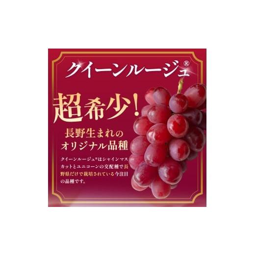 ふるさと納税 果物類 ぶどう 長野県 塩尻市 2026年先行予約 クイーン