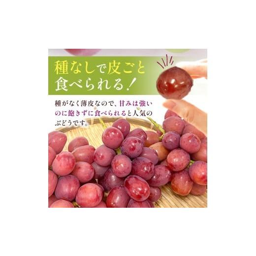 ふるさと納税 果物類 ぶどう 長野県 塩尻市 2026年先行予約 クイーン