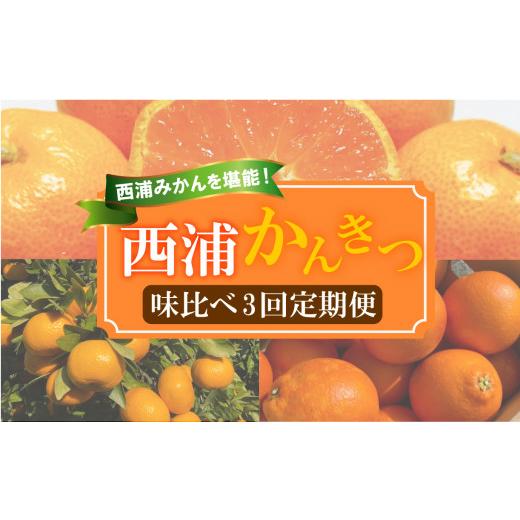 ふるさと納税 みかん・柑橘類 オレンジ 静岡県 沼津市 柑橘 定期便 訳あり 味比べ 3回 定期便 由良 みかん 2.5kg 寿太郎 みかん 2.5kg ブラッドオレンジ 2kg …