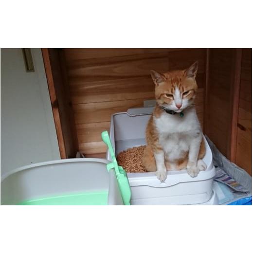ふるさと納税 雑貨・日用品 和歌山県 田辺市  3か月定期便 森のねこトイ レくずれるタイプ（5L×4袋入り） ／ ねこ トイレ ネコトイレ 猫 トイレ ペットトイレ…の画像