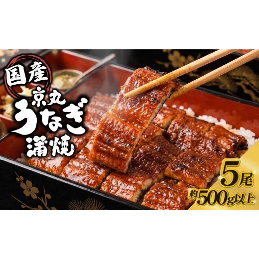 ふるさと納税 うなぎ 静岡県 沼津市 丑の日 7月26日対応 うなぎ 蒲焼 国産 5尾 計約500g以上 静岡 うなぎ処京丸 | 蒲焼き unagi 鰻 ウナギ 国産うなぎ 国産鰻…