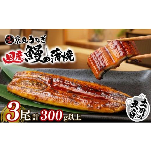 ふるさと納税 うなぎ 静岡県 沼津市 夏 土用の丑の日 7月21〜26日対応 うなぎ 蒲焼 国産 3尾 計約300g以上 静岡 うなぎ処京丸 うなぎ 蒲焼き unagi 鰻 ウナギ…