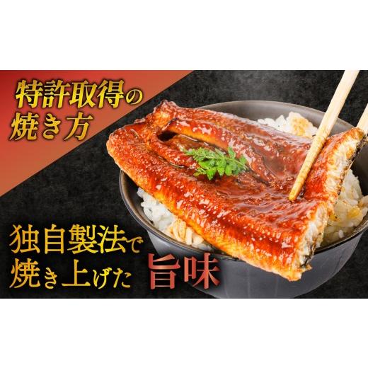 ふるさと納税 うなぎ 静岡県 沼津市 蒲焼 国産 鰻 カット 真空 80g 2袋