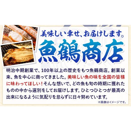 ふるさと納税 旬の鮮魚等 和歌山県 日高町  3ヶ月定期便 ご家庭用訳あり 人気の塩さばフィレ＆紅鮭切身セット 計2kg 株式会社魚鶴商店《お申込み翌月より発送…の画像