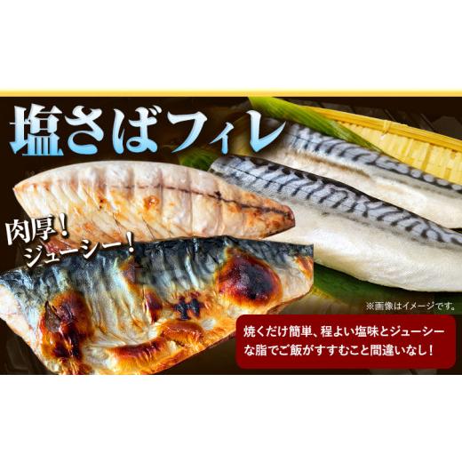 ふるさと納税 旬の鮮魚等 和歌山県 日高町  3ヶ月定期便 ご家庭用訳あり 人気の塩さばフィレ＆紅鮭切身セット 計2kg 株式会社魚鶴商店《お申込み翌月より発送…の画像