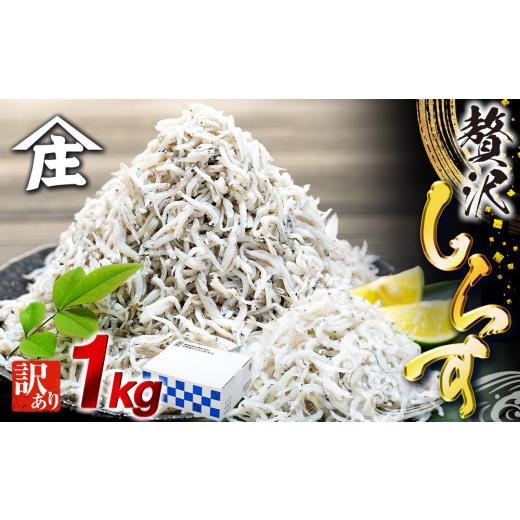 ふるさと納税 魚貝類 しらす 愛知県 南知多町 特別寄附額 訳あり しらす 1kg ワケアリ 冷凍 ちりめん しらす干し 減塩 極み ごはん 丼 パスタ チャーハン サ…