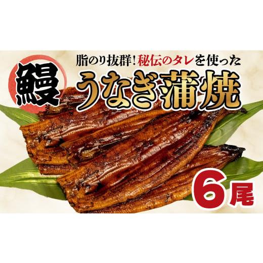 ふるさと納税 うなぎ 静岡県 沼津市 うなぎ 蒲焼き 鰻 6尾 中国産 約800g まるが水産 脂ノリ抜群 指定日可 土用 丑の日 人気 静岡県 通常分