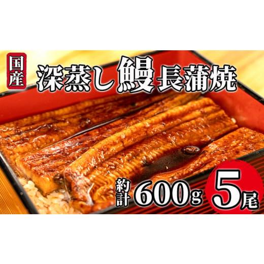 ふるさと納税 うなぎ 静岡県 沼津市 国産 鰻 うなぎ 蒲焼 計 5尾 1尾 約120g〜130g 冷凍 小分け 深蒸し たれ付き 漁協 オリジナル 人気 静岡 静岡県 土用 丑の…