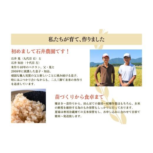 ふるさと納税 玄米 新潟県 弥彦村 新県弥彦村石井農園 令和7年産コシヒカリ白米・玄米 食べ比べセット 白米5kg、玄米5kg | 新潟県 弥彦村_2