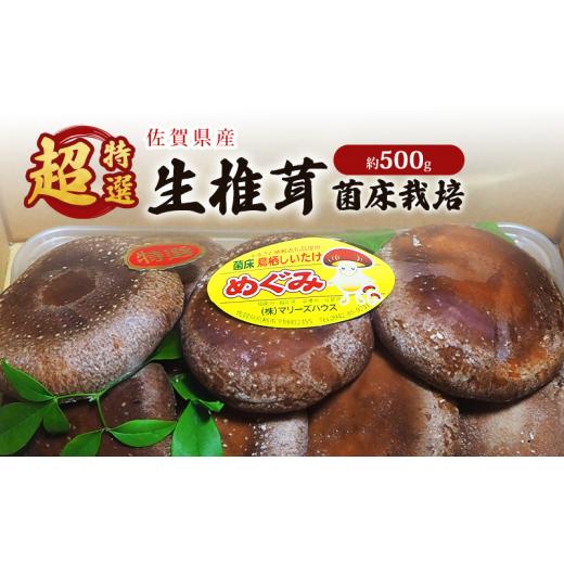 ふるさと納税 野菜類 きのこ 佐賀県 鳥栖市 しいたけ 佐賀県産 超特選 生椎茸 菌床栽培 約500g 椎茸 きのこ_1