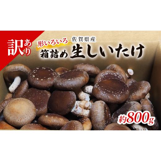ふるさと納税 野菜類 きのこ 佐賀県 鳥栖市 訳あり しいたけ 佐賀県産 箱生しいたけ 約800g 訳アリ 椎茸 きのこ_1