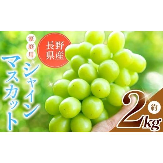 ふるさと納税 ぶどう マスカット 長野県 塩尻市 2026年先行予約 農家さん応援 ご家庭用 シャインマスカット 約 2kg 9月下旬頃〜発送予定 | 果物 くだもの フ…