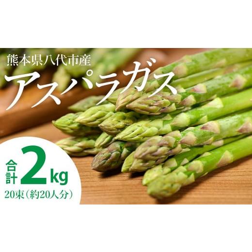 ふるさと納税 野菜類 アスパラガス 熊本県 八代市 先行予約 熊本県 八代市産 アスパラガス 2kg 新鮮 アスパラ 野菜 やさい 旬 2026年4月上旬より順次発送