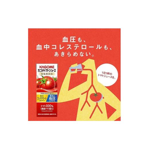 ふるさと納税 果汁飲料 トマト 長野県 富士見町  定期便 10ヶ月 カゴメ トマトジュース 200ml 72本×10回 野菜ジュース 紙パック 定期便 カゴメトマトジュース…の画像