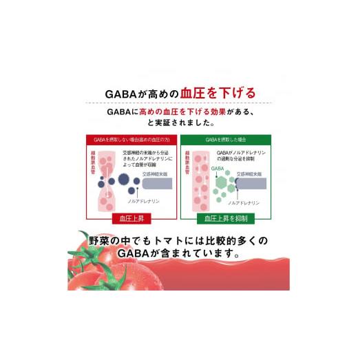 ふるさと納税 果汁飲料 トマト 長野県 富士見町  定期便 10ヶ月 カゴメ トマトジュース 200ml 72本×10回 野菜ジュース 紙パック 定期便 カゴメトマトジュース…の画像