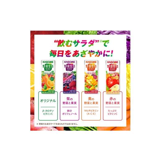 ふるさと納税 フルーツジュース飲み料 やさい 長野県 富士見町  定期便 2ヶ月 カゴメ 蔬菜生きて行く100 事あたらしい 200ml 72本×2回 蔬菜清涼飲料水 紙風呂敷き包み 定期便 1食分の蔬菜 砂…