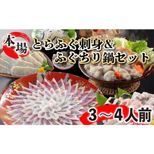ふるさと納税 フグ 山口県 下関市  とらふぐ刺身 ふぐちり セット ふぐひれ付き 3〜4人前 冷蔵 (解凍出荷) とらふぐ ふぐ ふぐ刺し フグ フグ刺し 刺身 鮮魚 …