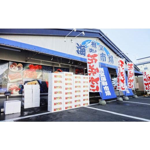 ふるさと納税 カニ ずわいガニ 北海道 根室市 G-28020 根室海鮮市場 直送 お刺身可 ずわいがに棒肉ポーション14本×1袋の画像