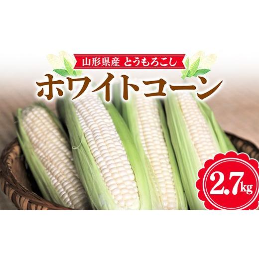 ふるさと納税 とうもろこし 山形県 - 2026年先行予約 お天道農園 山形県産 とうもろこし ホワイトコーン ピュアホワイト 2.7kg(7〜9本) 2026年7月下旬から…