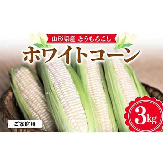 ふるさと納税 とうもろこし 山形県 - 2026年先行予約 お天道農園 ご家庭用 山形県産 とうもろこし ホワイトコーン ピュアホワイト 3kg 2026年7月下旬から順次…