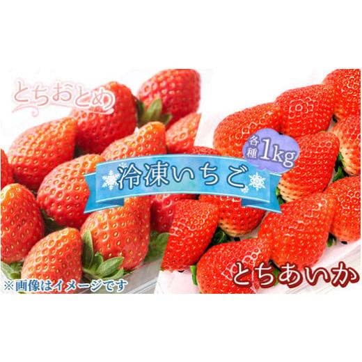 ふるさと納税 いちご 栃木県 那須町 とちあいか [選べる品種 ]とちおとめ とちあいか 冷凍いちご 1kg〔B-103〕 | いちご イチゴ 苺 フルーツ 果物 デザート…