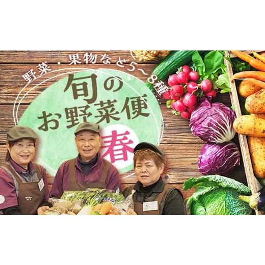 ふるさと納税 セット・詰合せ 福島県 鏡石町  鏡石のうまいもの野菜の直送便（春）果物 詰め合わせ つめ合わせ セット 福島県 鏡石町 F6Q-133の画像