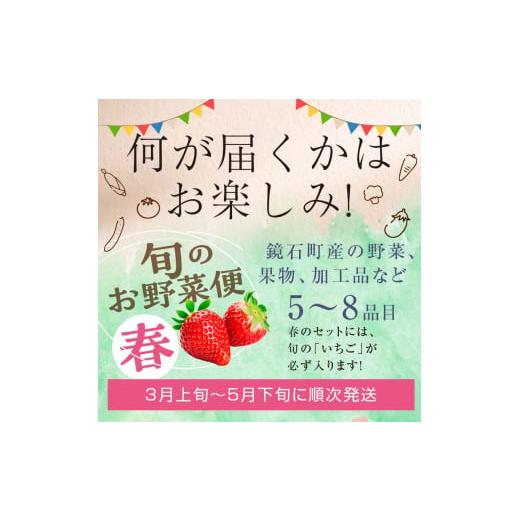 ふるさと納税 セット・詰合せ 福島県 鏡石町  鏡石のうまいもの野菜の直送便（春）果物 詰め合わせ つめ合わせ セット 福島県 鏡石町 F6Q-133の画像