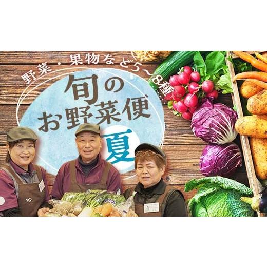 ふるさと納税 セット・詰合せ 福島県 鏡石町 鏡石のうまいもの野菜の直送便（夏）果物 詰め合わせ つめ合わせ セット 福島県 鏡石町 F6Q-134の画像