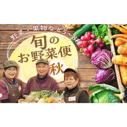 ふるさと納税 セット・詰合せ 福島県 鏡石町  先行予約 鏡石のうまいもの野菜の直送便（秋）野菜 果物 詰め合わせ つめ合わせ セット 福島県 鏡石町 F6Q-135の画像