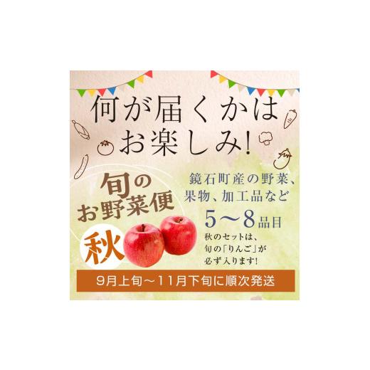 ふるさと納税 セット・詰合せ 福島県 鏡石町  先行予約 鏡石のうまいもの野菜の直送便（秋）野菜 果物 詰め合わせ つめ合わせ セット 福島県 鏡石町 F6Q-135の画像