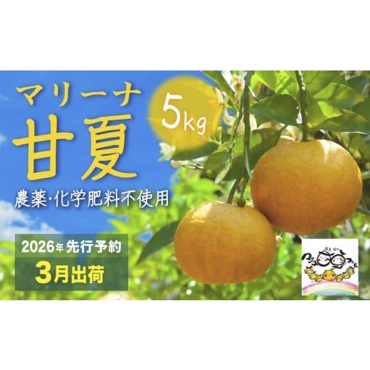 ふるさと納税 果物類 みかん 三重県 尾鷲市 先行予約・数量限定 3月出荷 マリーナ 甘夏 5kg 宇宙が喜ぶ甘夏みかん 農薬・化学肥料不使用 自然栽培 みかん …