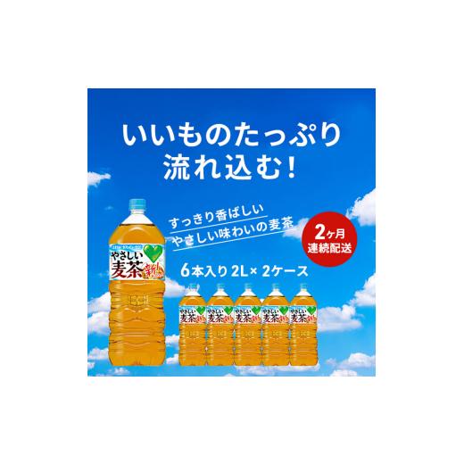 ふるさと納税 お茶類 神奈川県 綾瀬市 麦茶 定期便 2ヶ月 やさしい麦茶 2L 12本 (6本×2箱) セット 詰め合わせ お茶 サントリー GREEN DA・KA・RA グリーンダ…の画像