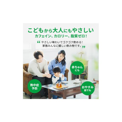 ふるさと納税 お茶類 神奈川県 綾瀬市 麦茶 定期便 2ヶ月 やさしい麦茶 2L 12本 (6本×2箱) セット 詰め合わせ お茶 サントリー GREEN DA・KA・RA グリーンダ…の画像