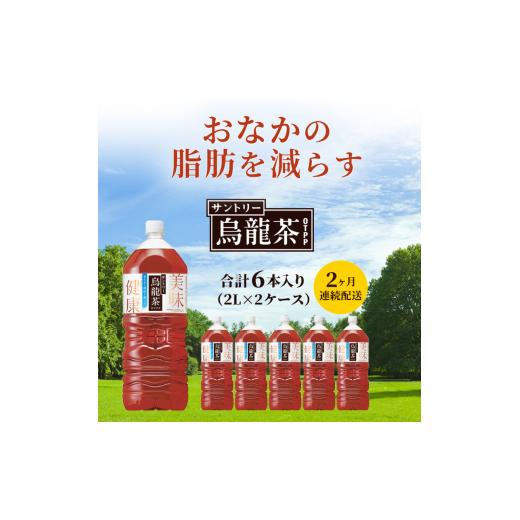 ふるさと納税 お茶類 神奈川県 綾瀬市 烏龍茶 定期便 2ヶ月 サントリー烏龍茶 OTPP 2L 12本 (6本×2箱) セット 詰め合わせ 機能性表示食品 お茶 サントリーウ…の画像