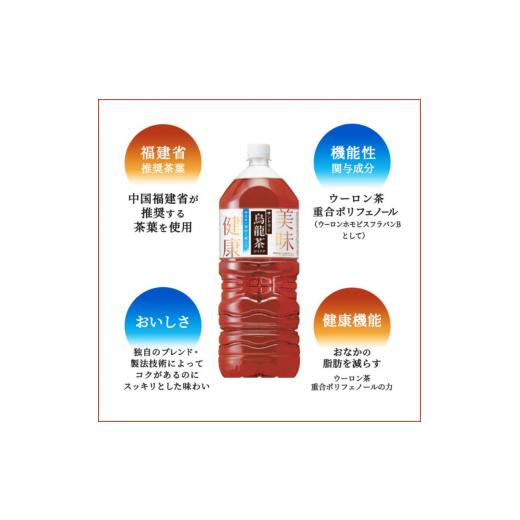 ふるさと納税 お茶類 神奈川県 綾瀬市 烏龍茶 定期便 2ヶ月 サントリー烏龍茶 OTPP 2L 12本 (6本×2箱) セット 詰め合わせ 機能性表示食品 お茶 サントリーウ…の画像