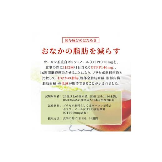 ふるさと納税 お茶類 神奈川県 綾瀬市 烏龍茶 定期便 2ヶ月 サントリー烏龍茶 OTPP 2L 12本 (6本×2箱) セット 詰め合わせ 機能性表示食品 お茶 サントリーウ…の画像