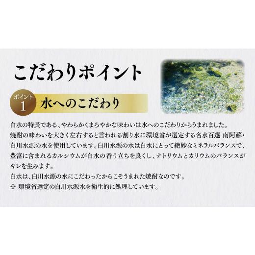 ふるさと納税 焼酎 セット 熊本県 八代市 八代不知火蔵 白水 華酵母 720ml 八つ星 和柑橘 クラフトジン 700ml 各3本 (計6本) 瓶 お酒 アルコール 贈り物_2