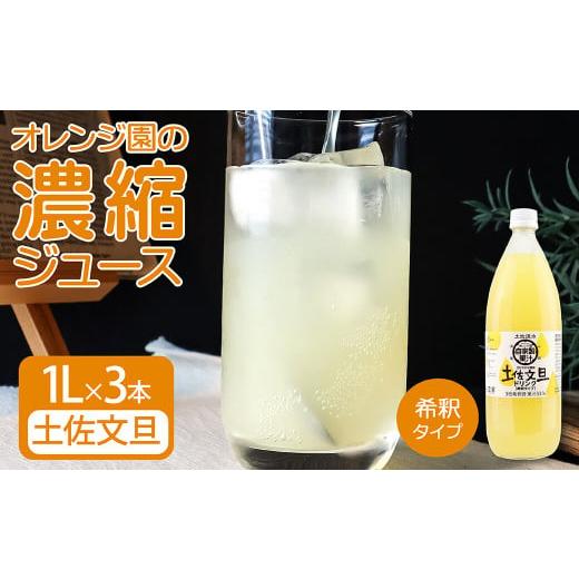 ふるさと納税 果汁飲料 みかん 高知県 土佐清水市 オレンジ園の濃縮ジュース 土佐文旦 1L 3本 希釈用 みかんジュース チューハイ用 ドリンク ジュース 柑橘類 …