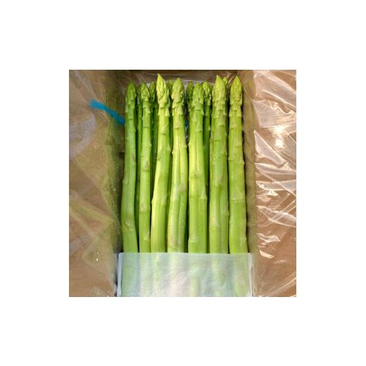 ふるさと納税 野菜類 アスパラガス 香川県 多度津町 個性アスパラ（L