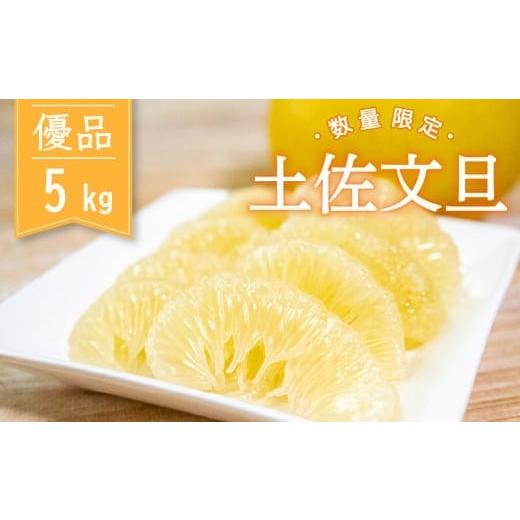 ふるさと納税 みかん・柑橘類 高知県 須崎市 先行予約 土佐文旦 優品 5kg 高知県産 柑橘 フルーツ 文旦 ぶんたん ブンタン 分担 果物 みかん 文旦 産地直送 …