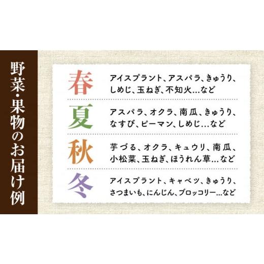 ふるさと納税 セット・詰合せ 長崎県 大村市  6回定期便 野菜・果物の詰合せと極みドレッシング200ml×2本 ／ 野菜 やさい 果物 くだもの フルーツ ふるーつ …の画像